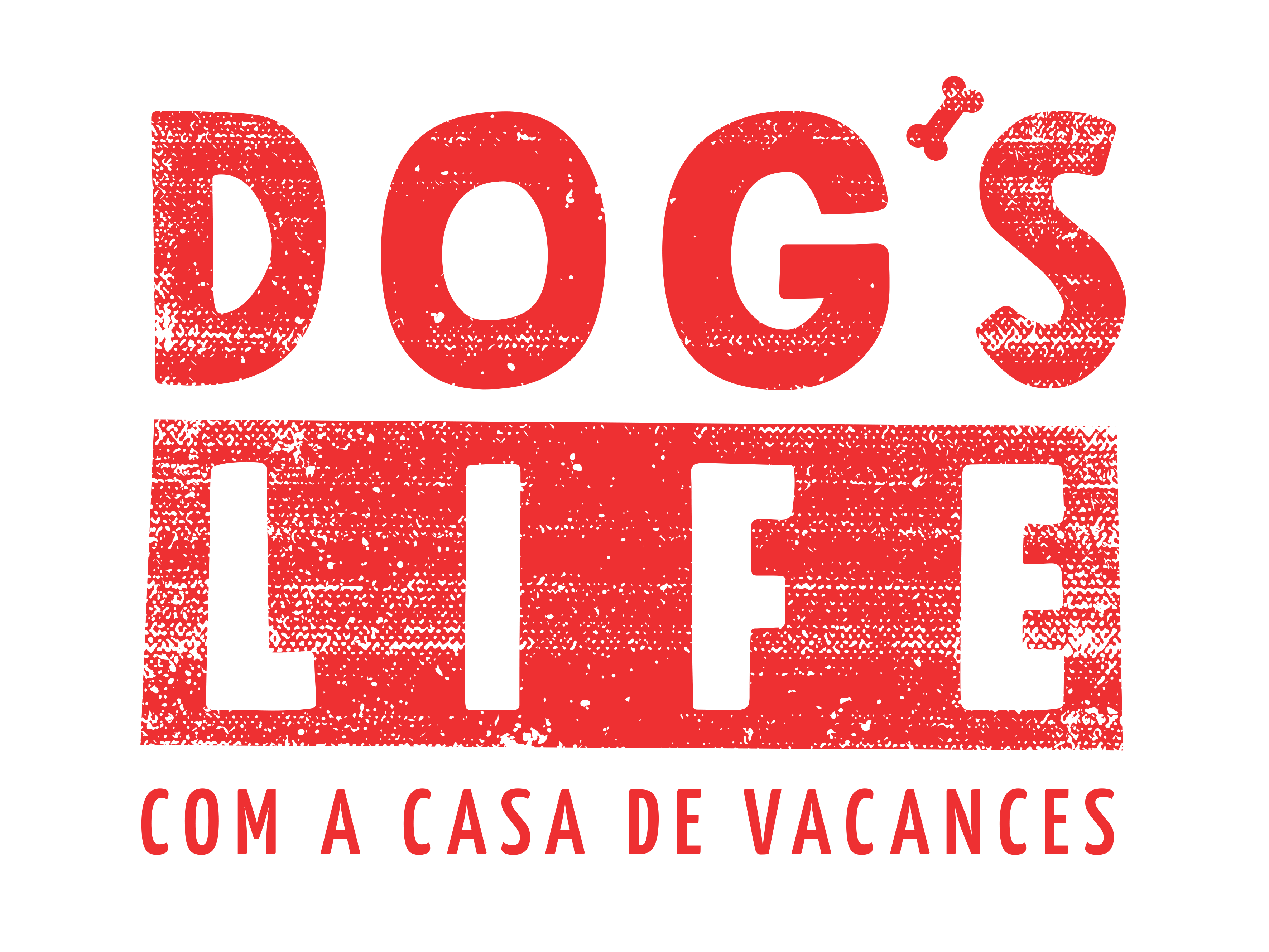 Dog's Life Tarragona – Guardería y paseo de perros en Tarragona