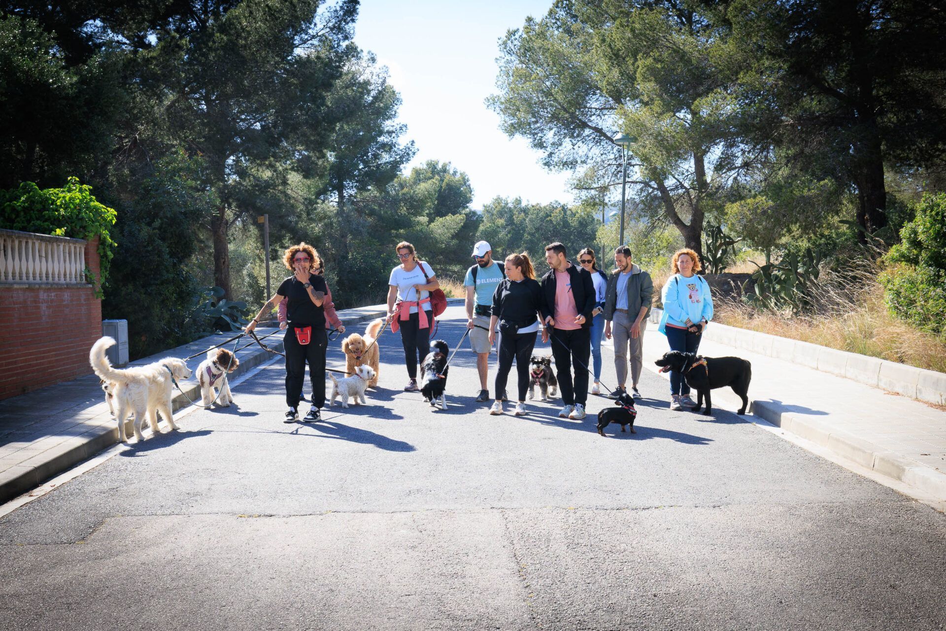 Paseig al parc, sentats als bancs