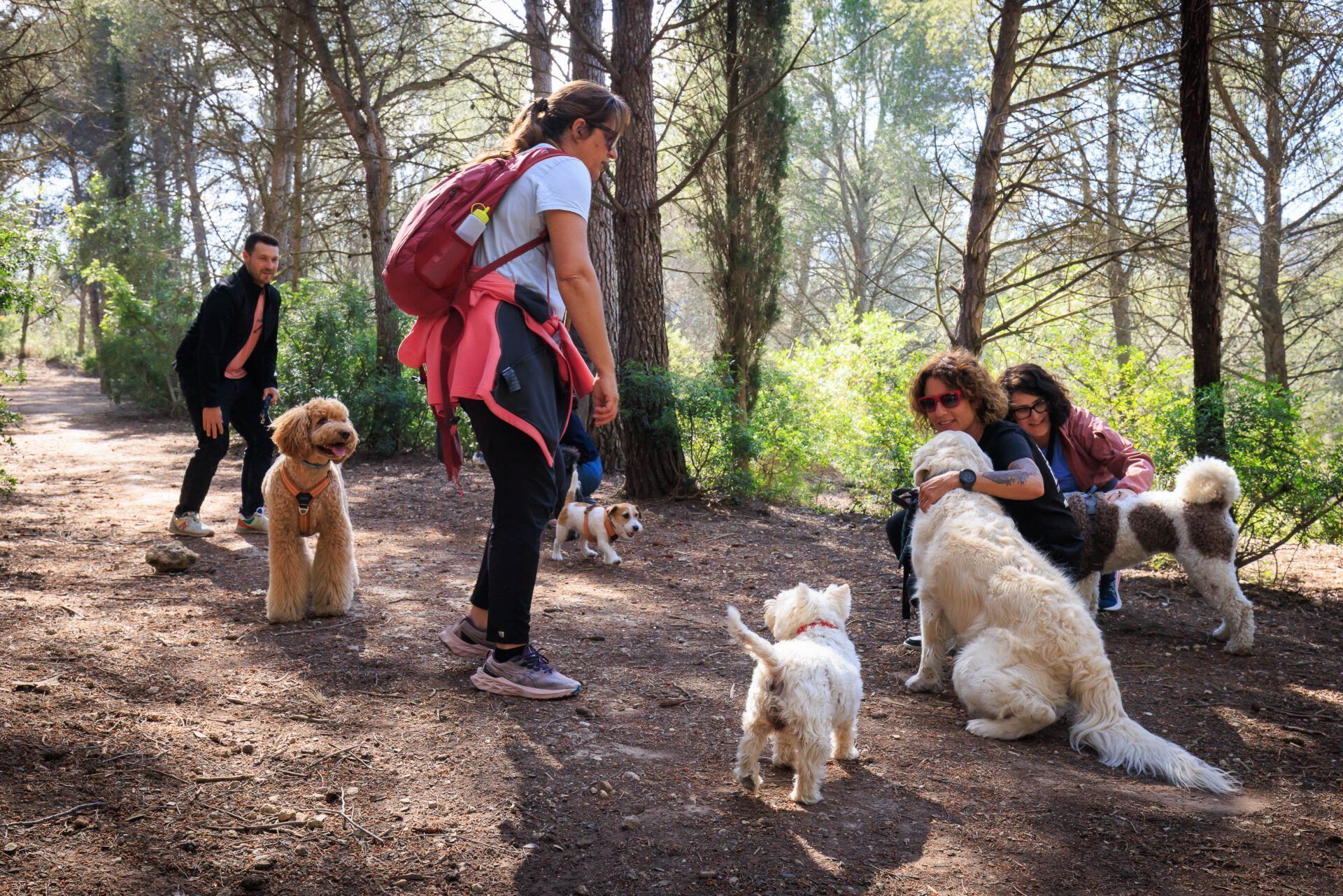 Passeig grupal al parc