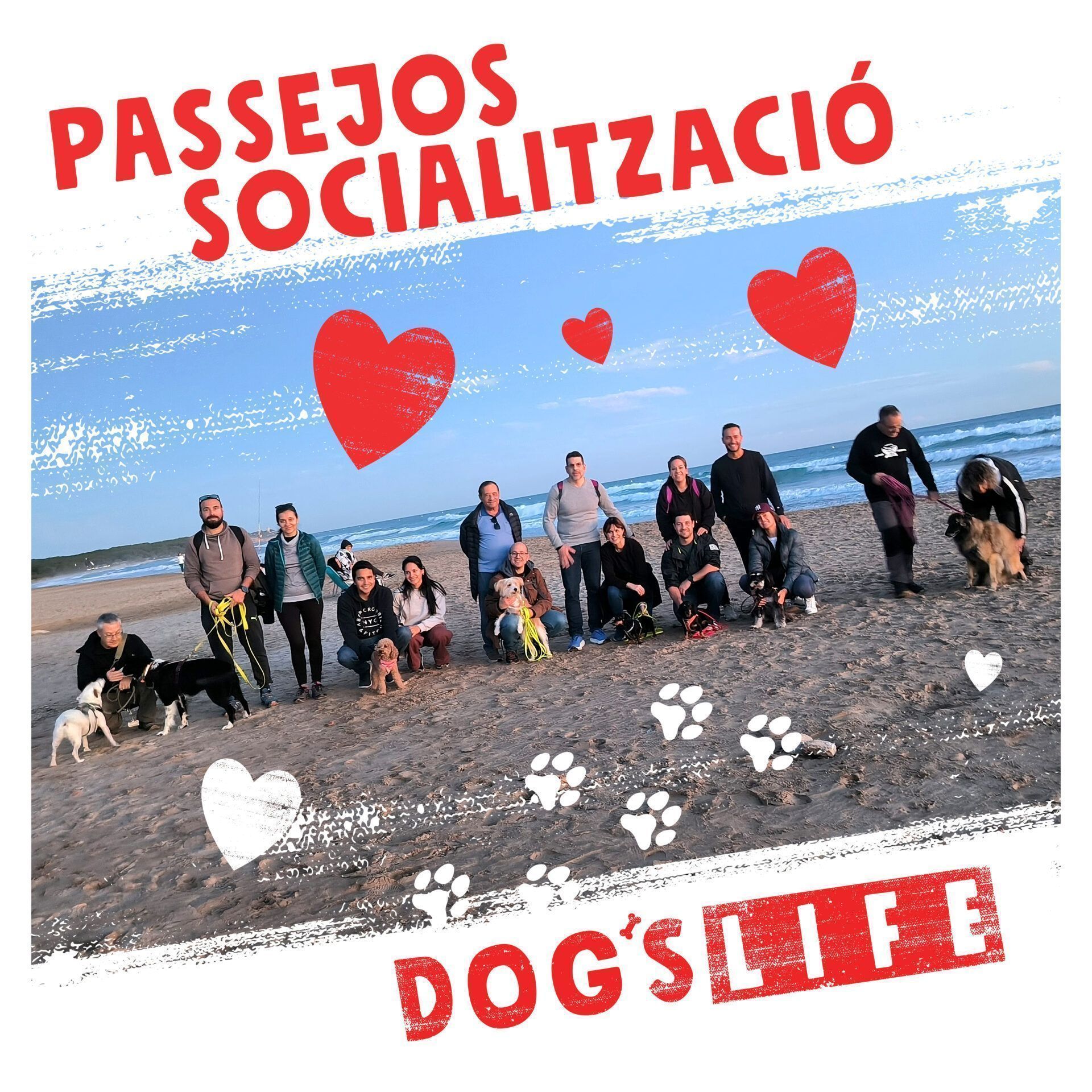 Passeig grupal al parc