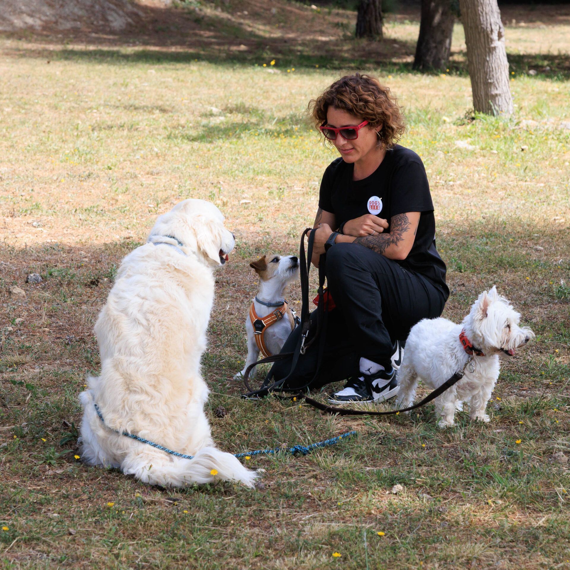 Passeig grupal per el bosc